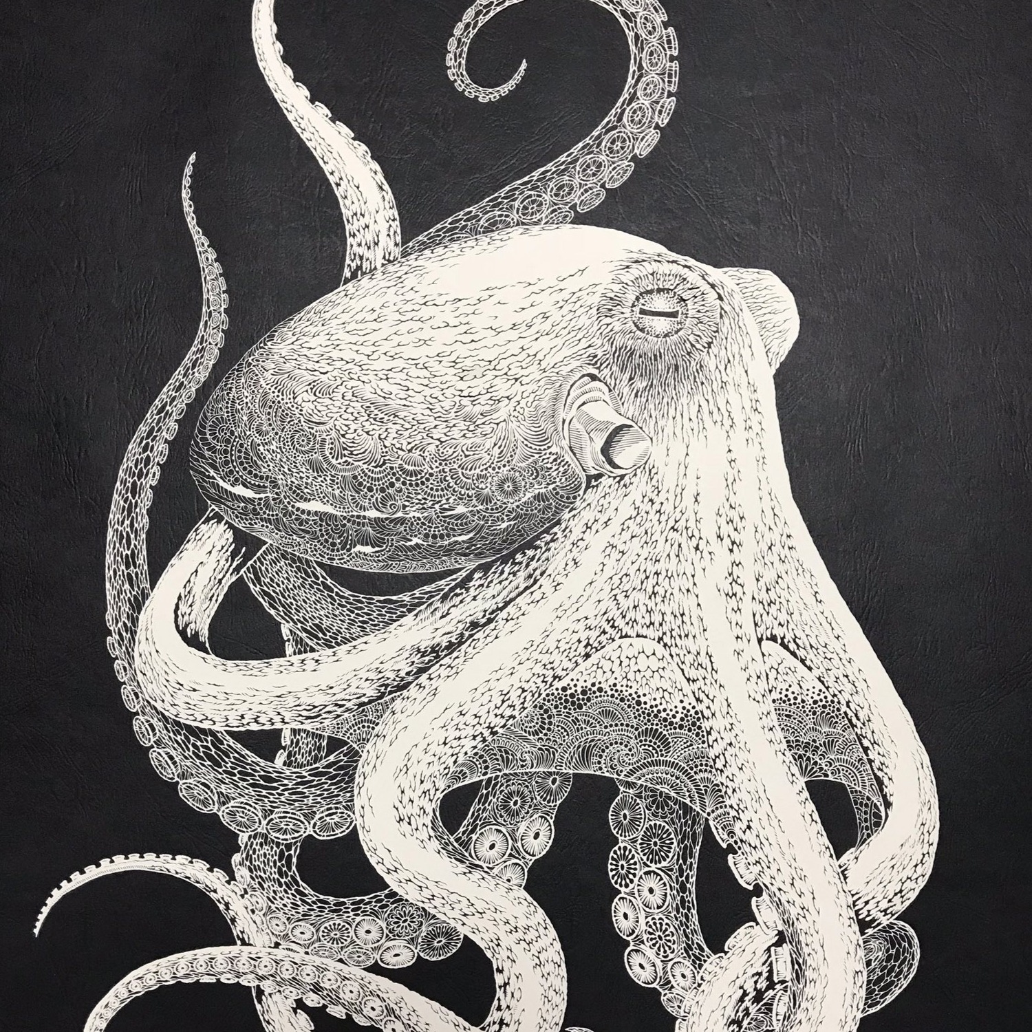 paper art: octopus