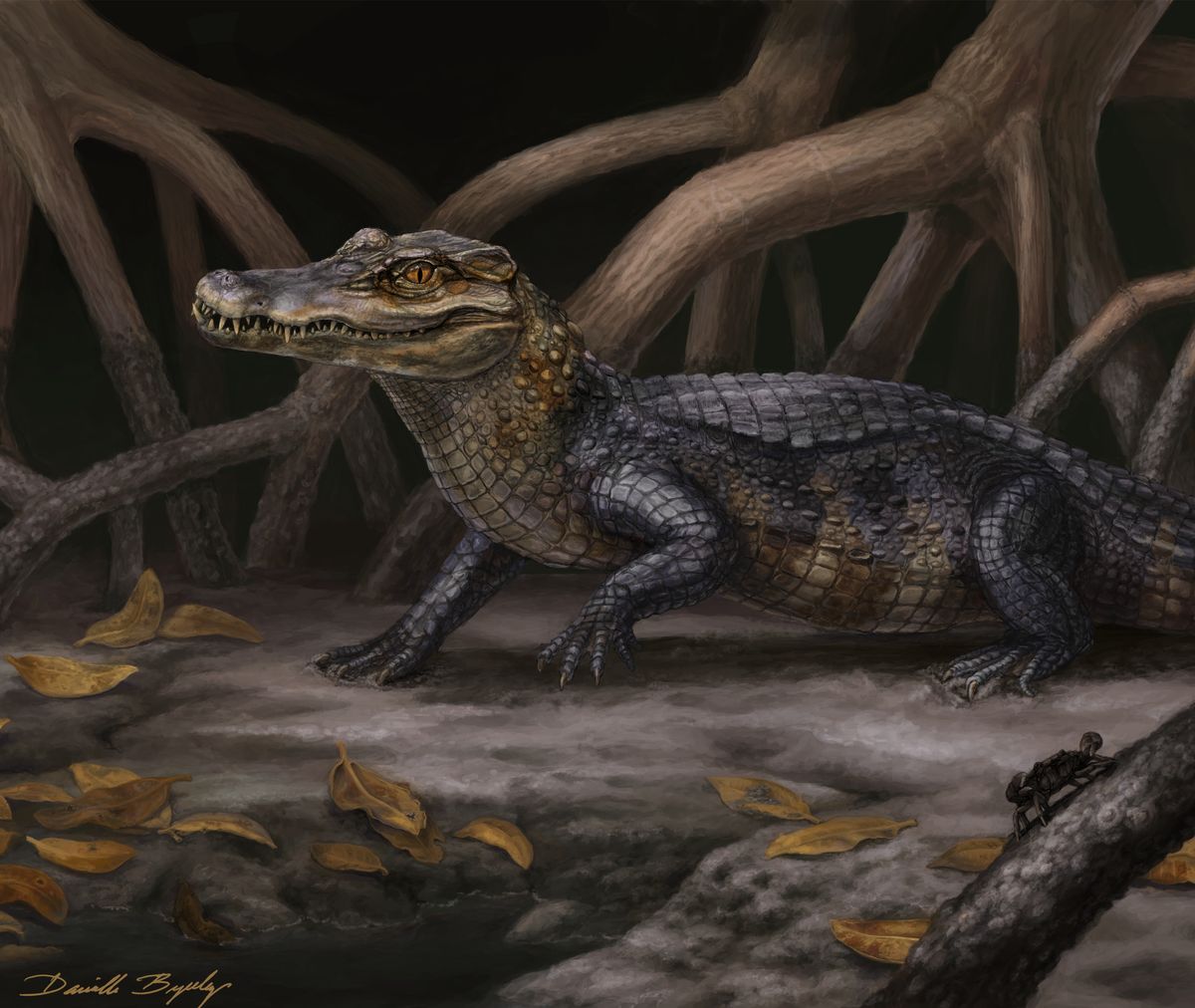 Artist&#039;s interpretation of alligator species