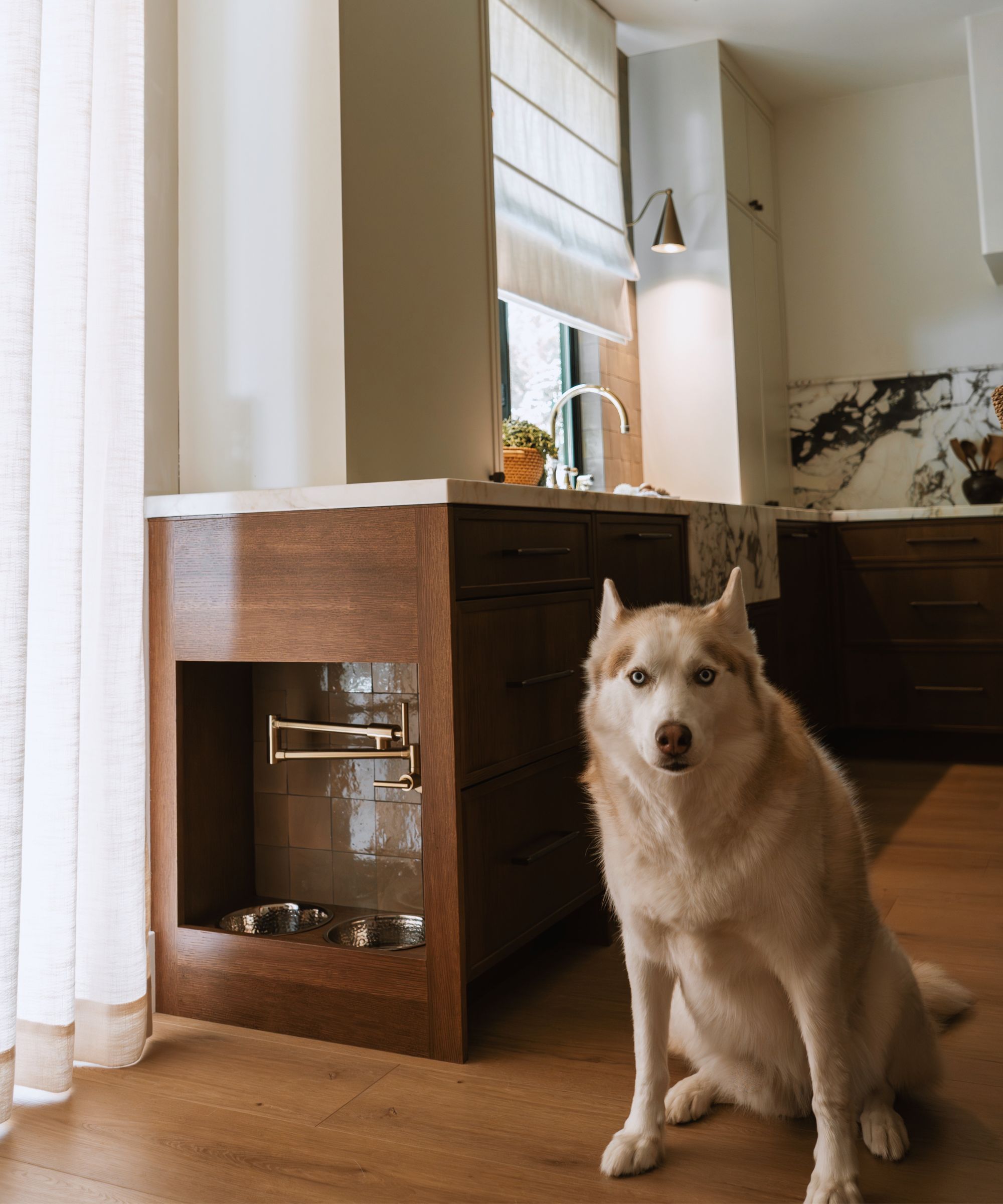 a large husky dog stood beside his custom dog bowl and water tap in a modern kitchen