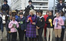 Ebony Horse Club