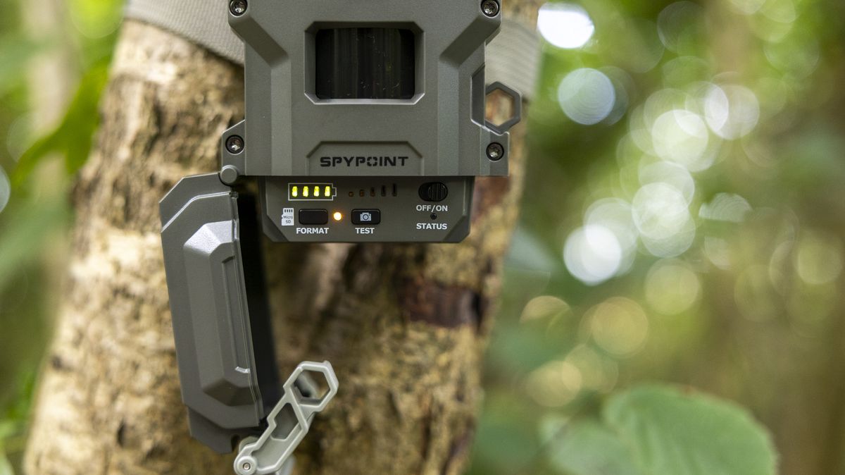 The Spypoint FLEX-M2 trail camera attached to a tree in a woodland