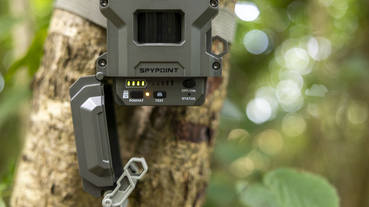 The Spypoint FLEX-M2 trail camera attached to a tree in a woodland