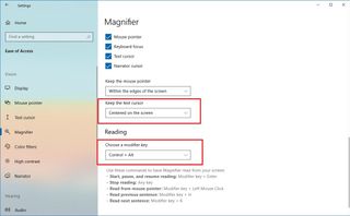 Windows 10 Magnifier settings on spring 2020 update