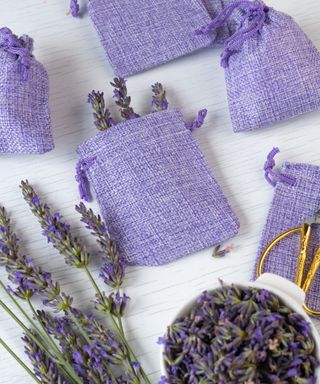 Purple lavender sachets and lavender flowers on a white background