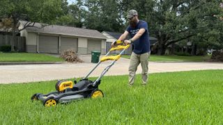 The DeWalt DCMWSP650Y2 cutting the grass