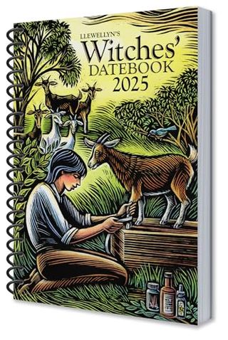 Llewellyn's 2025 Witches' Datebook (llewellyn's 2025 Calendars, Almanacs & Datebooks, 17)