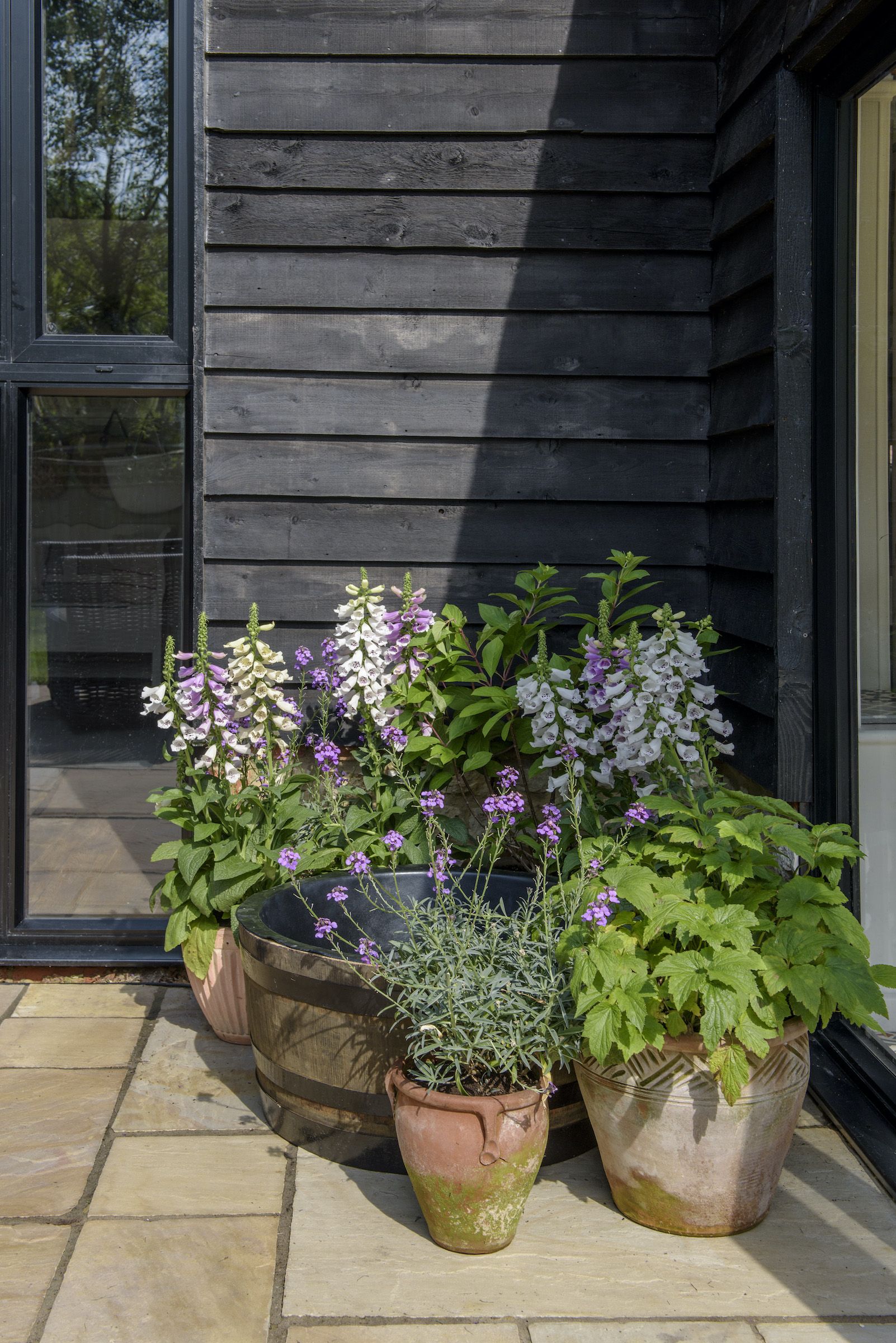 country garden ideas