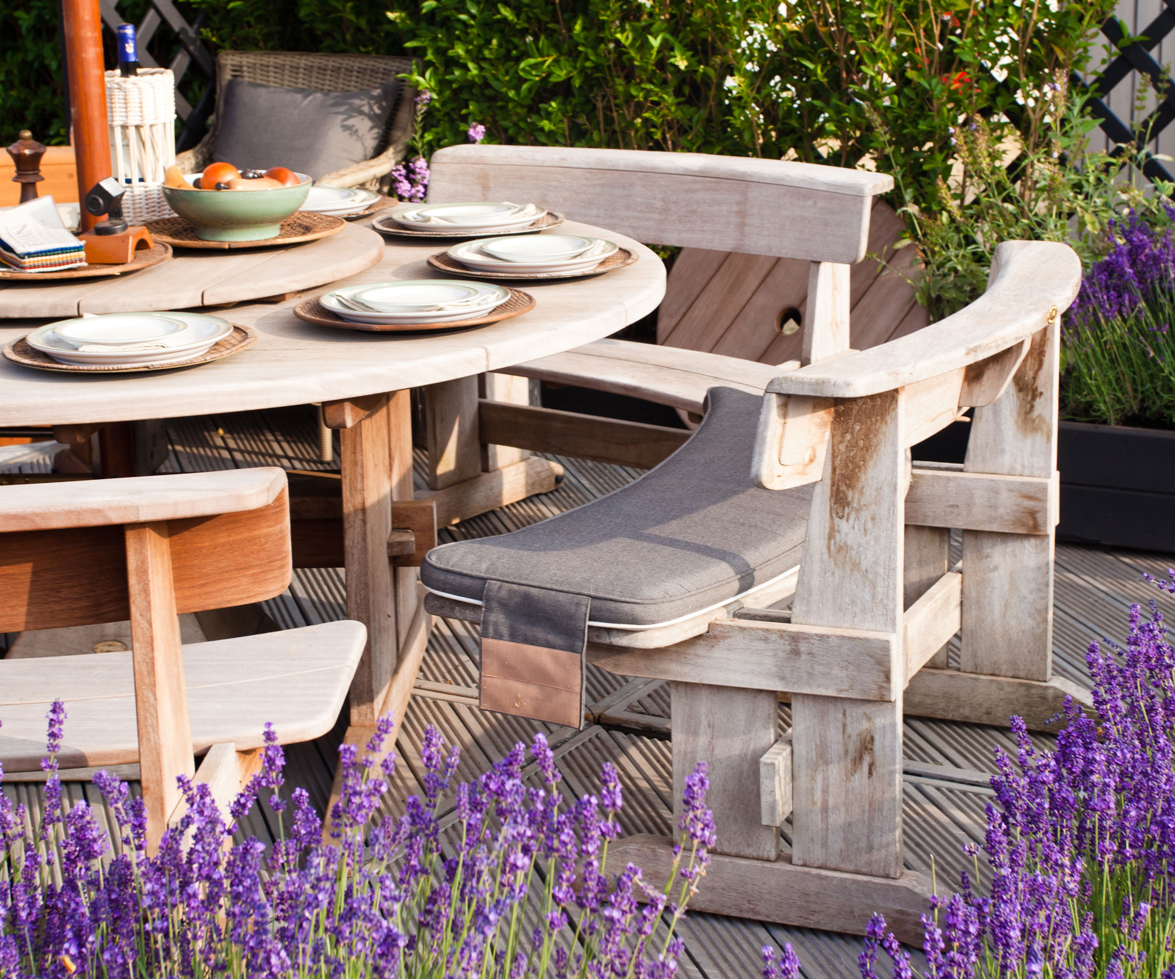 lavender plants in bloom around white patio table and chairs