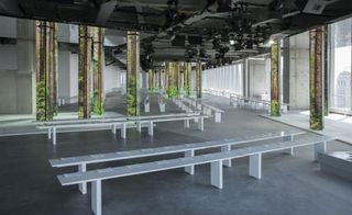 film footage of natural woodlands projected onto columns with white seating created the Boss runway show