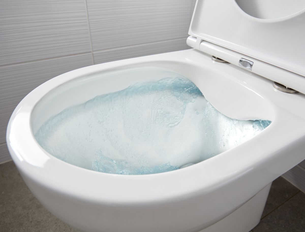 How much does flushing a toilet cost? | Homebuilding