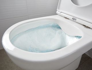 A closeup of a rimless toilet being flushed