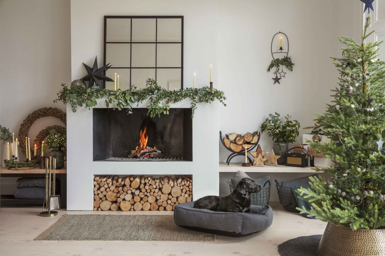 Christmas living room with dog 