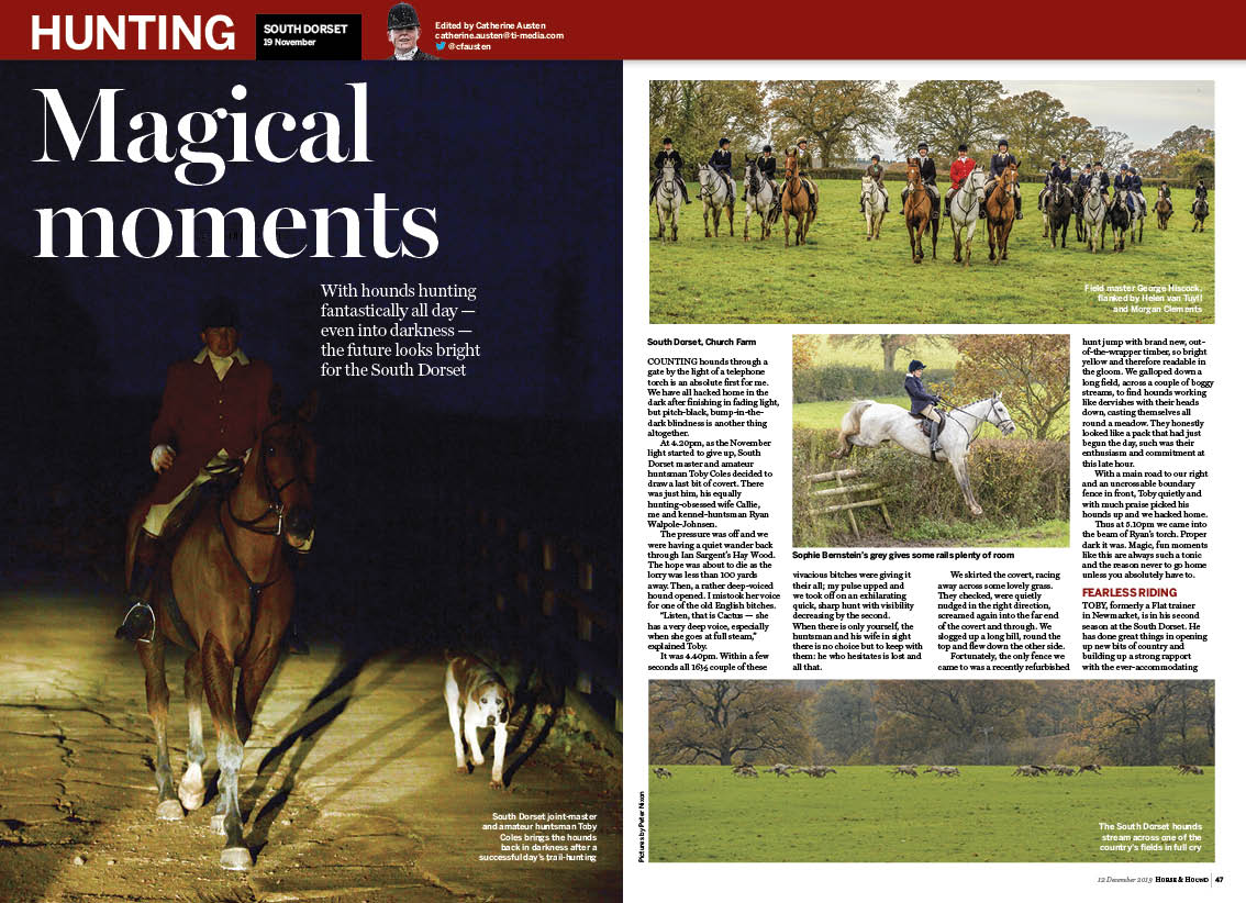 HT 4p South Dorset report