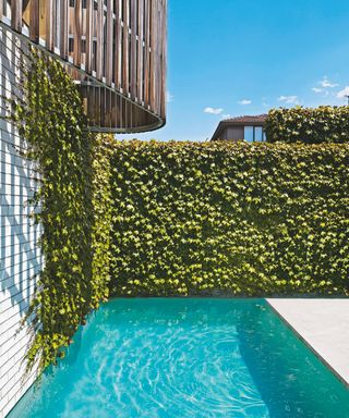 Pool ideas within a boundary in Australia