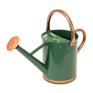 Green and gold watering can