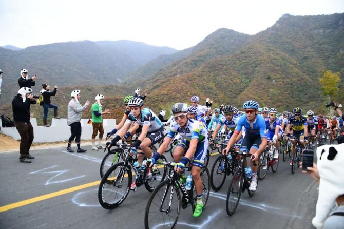 Panda Corner welcomes the peloton