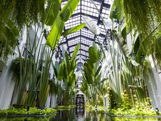 The atrium at The Siam in Bangkok is filled with tall palm fronds and a stream