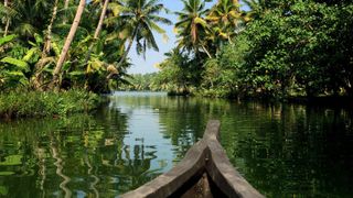Kerala backwaters, one of the best places to visit in india