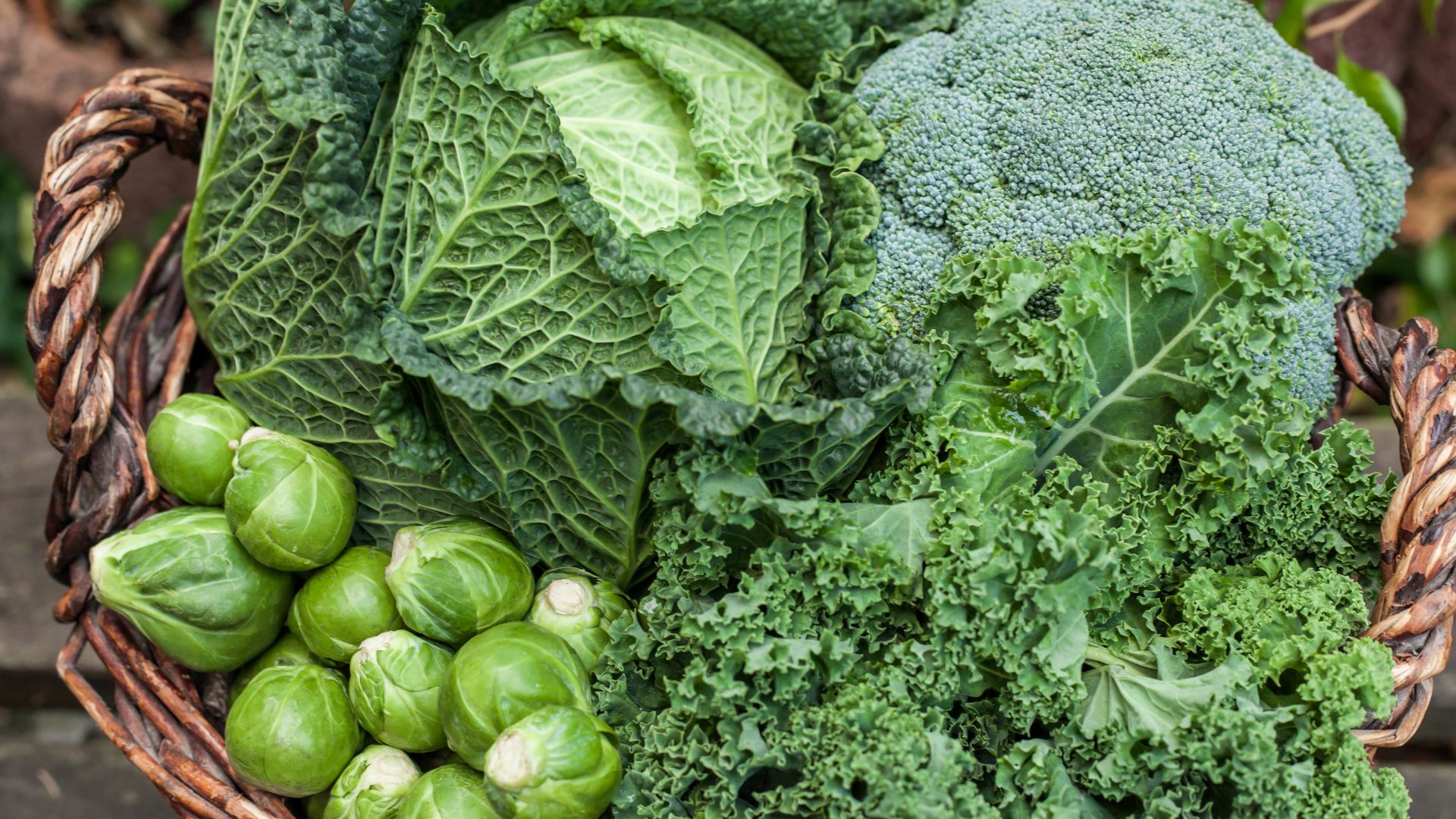 picture of winter vegetables in basket