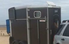 Trailerpic.jpg