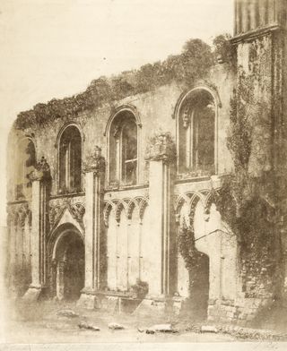 Sepia image of an ornate section of wall covered in vines