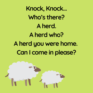 herd - best knock-knock jokes