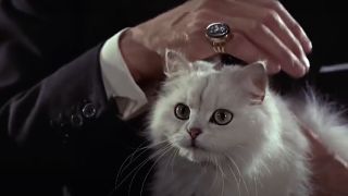 Blofeld's cat in From Russia with Love