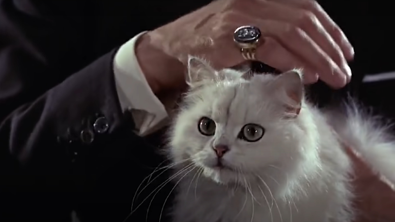 Blofield's cat in From Russia with Love