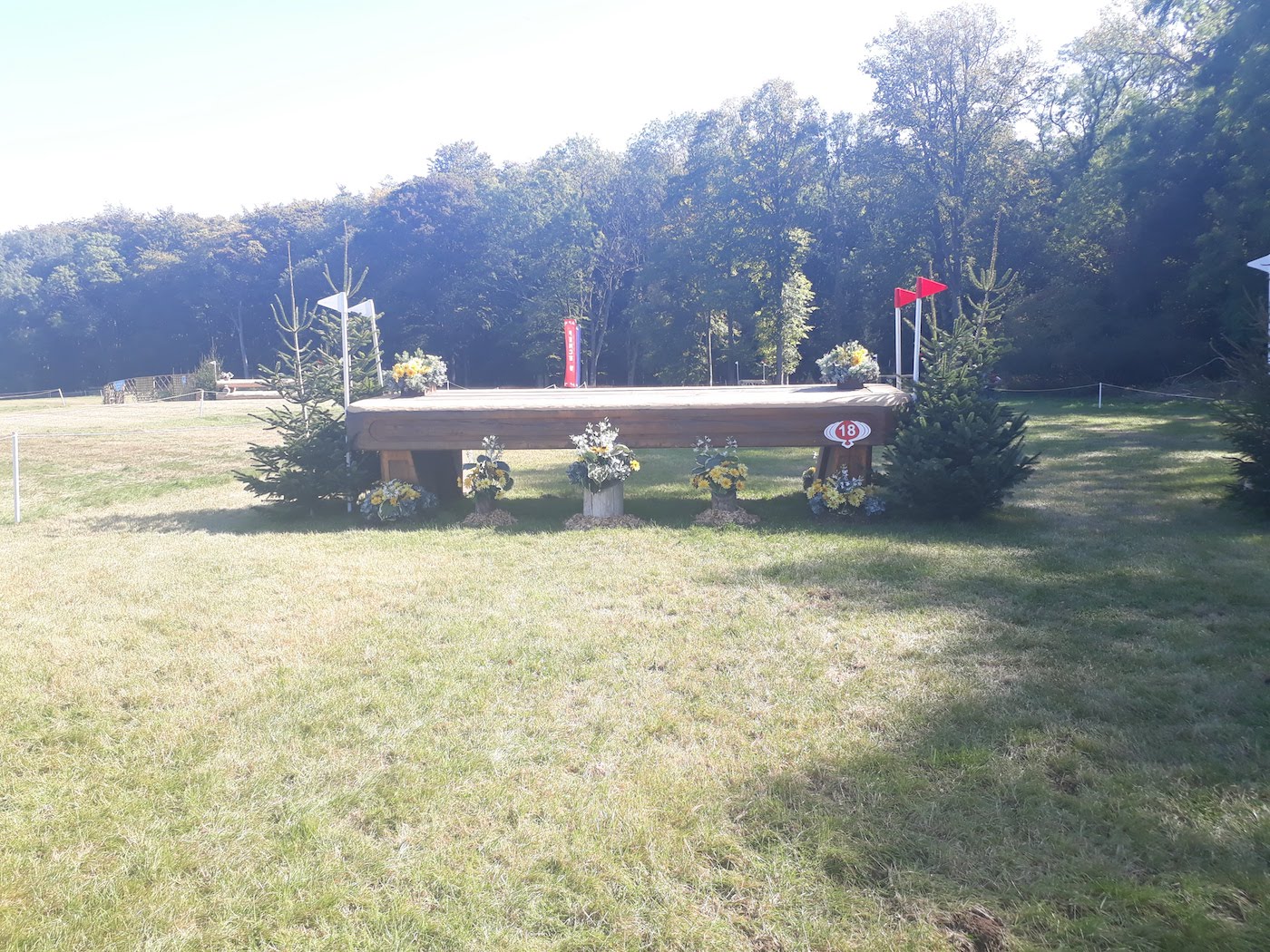 Fence 18