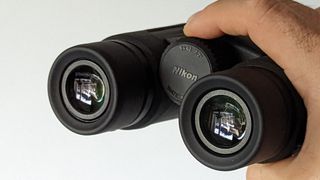 Nikon Prostaff P3 8x42 binocular eyepieces