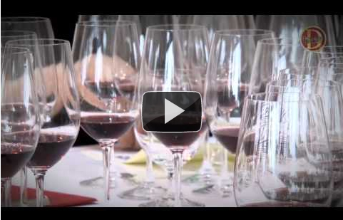DWWA video