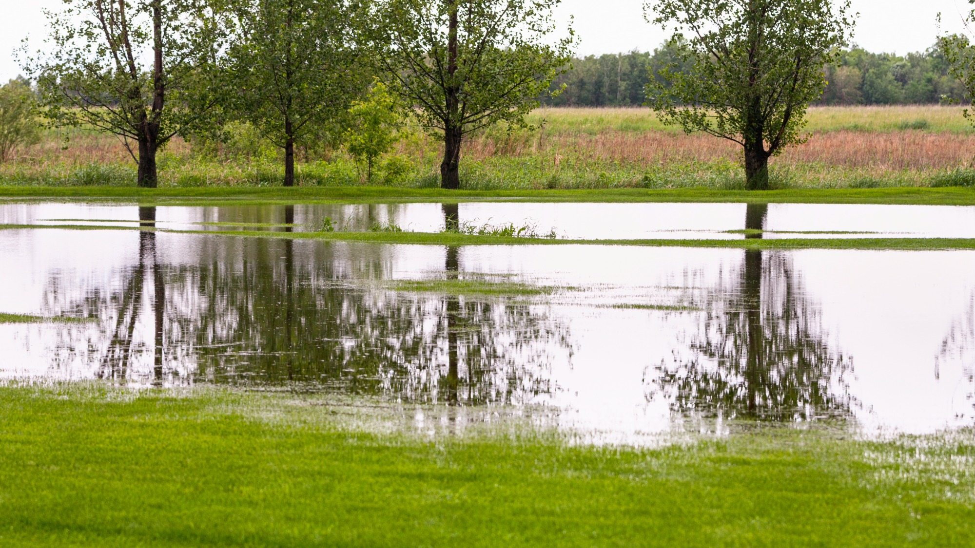 Flooded yard from drainage issues