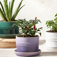 14. Herb Planter at Le Creuset for $30.00&nbsp;