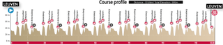 profile for the junior road race