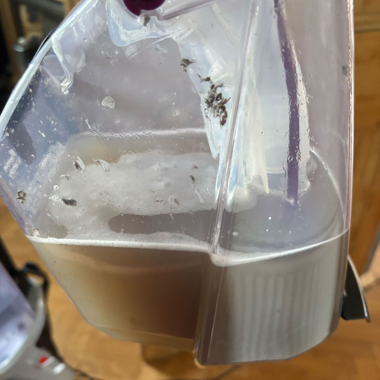 dirty water tank full of dirty water on bissell proheat 2x revolution pet pro