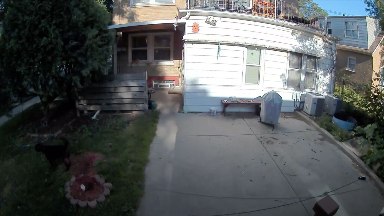 Arlo Pro 4 security footage