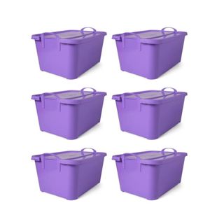Six purple storage containers