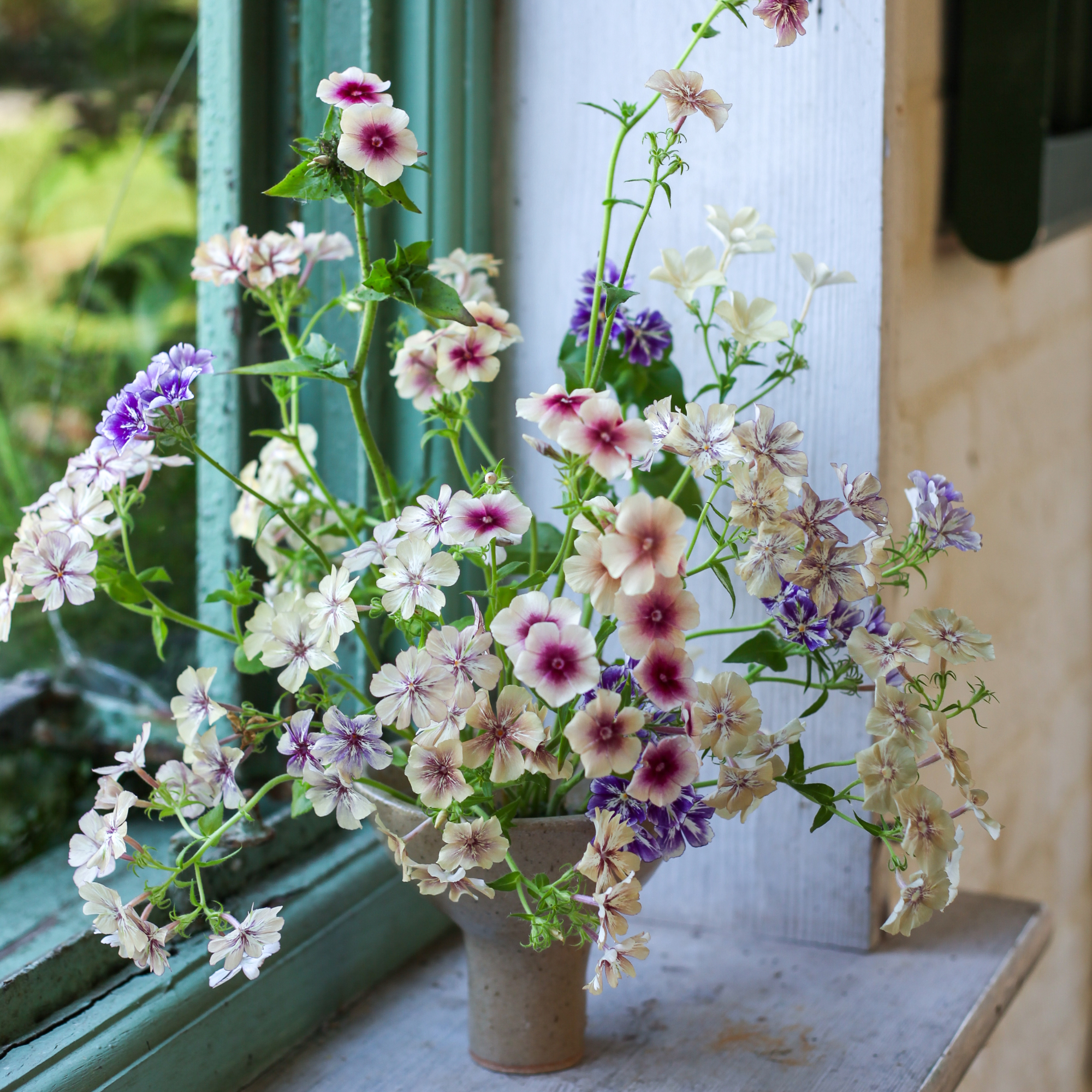 footed bowl full of phlox on a windowsill