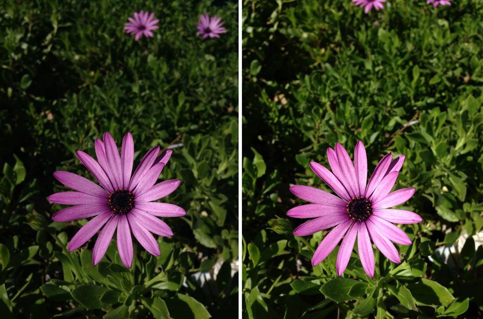 iPod touch 5 vs iPhone 5: Camera shootout | iMore