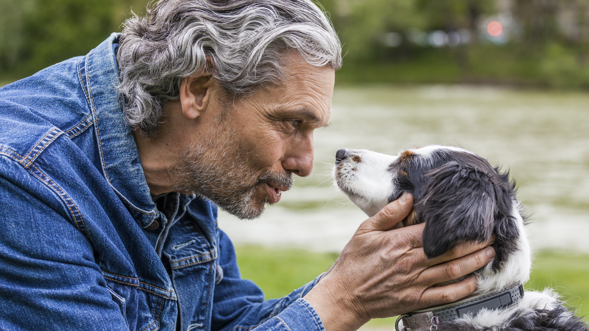 Senior man talking to dog