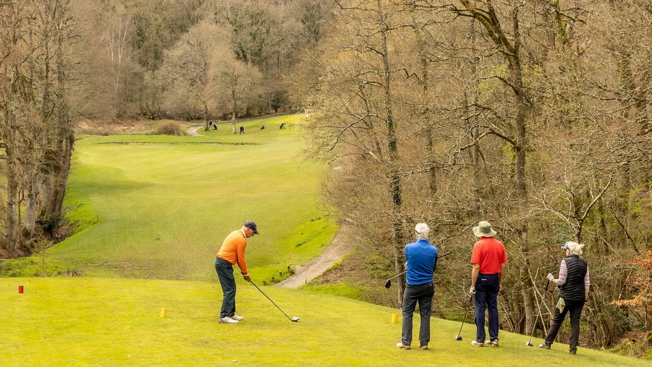 Group of golfers on the tee