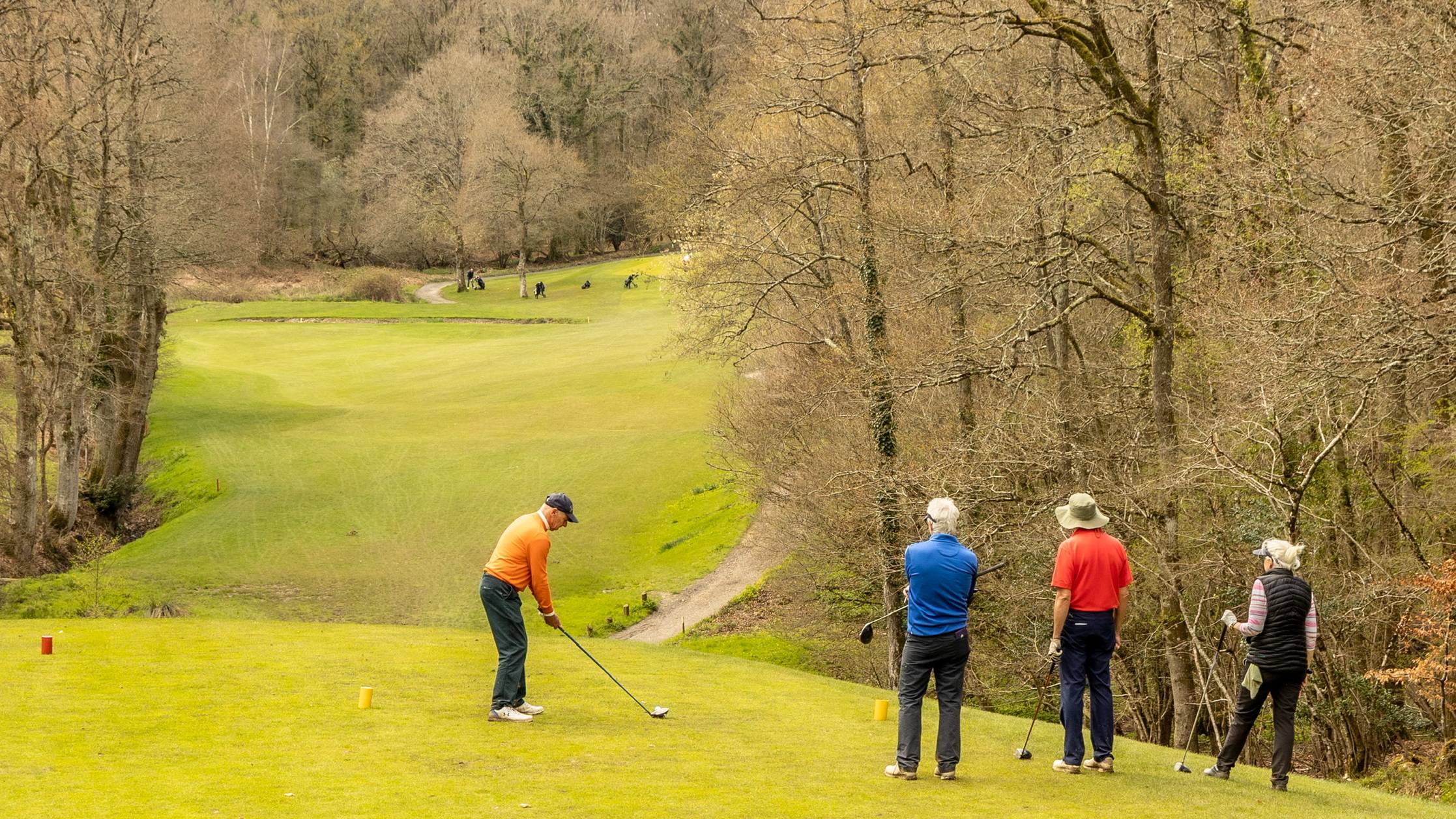 Group of golfers on the tee