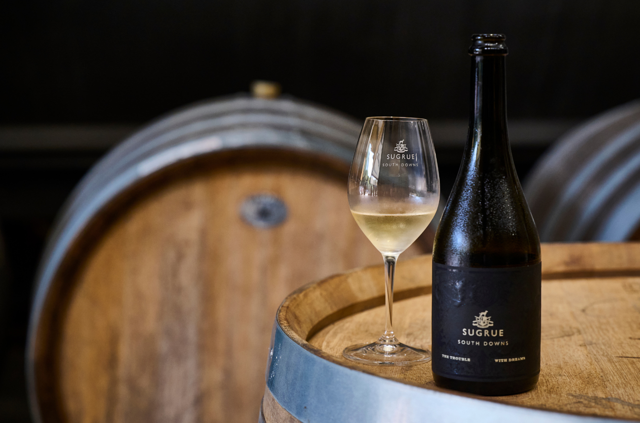 The Trouble With Dreams 2009