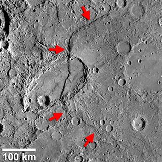 Beagle Rupes (identified by arrows) is a bow-shaped fault scarp on Mercury that is one of the most curved feature of its kind found by NASA's MESSENGER spacecraft. It is over 372 miles (600 kilometers) long.