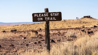 'Please stay on trail' sign surrounded by petrified wood