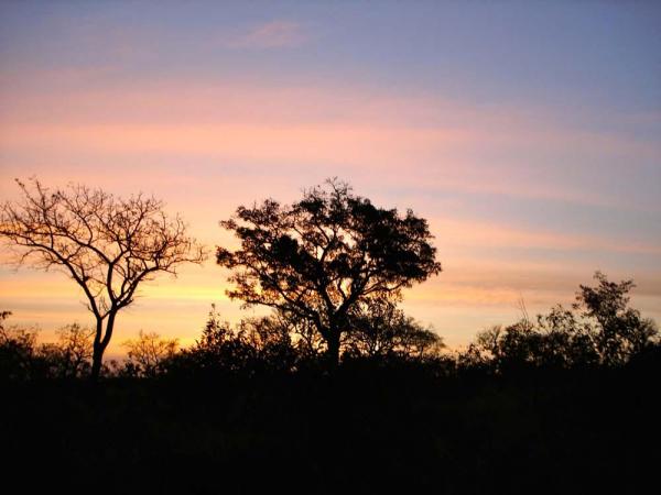 kruger-park-16-02