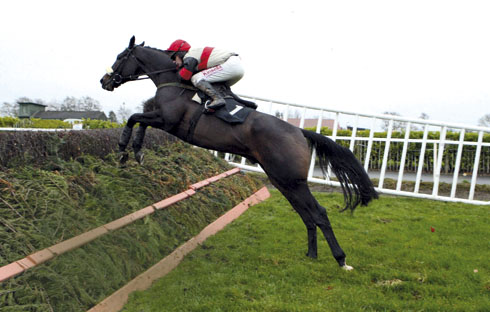 The use of a "toeboard" &amp;mdash; as seen in steeplechasing fences &amp;mdash; could give a better groundline, it has been suggested