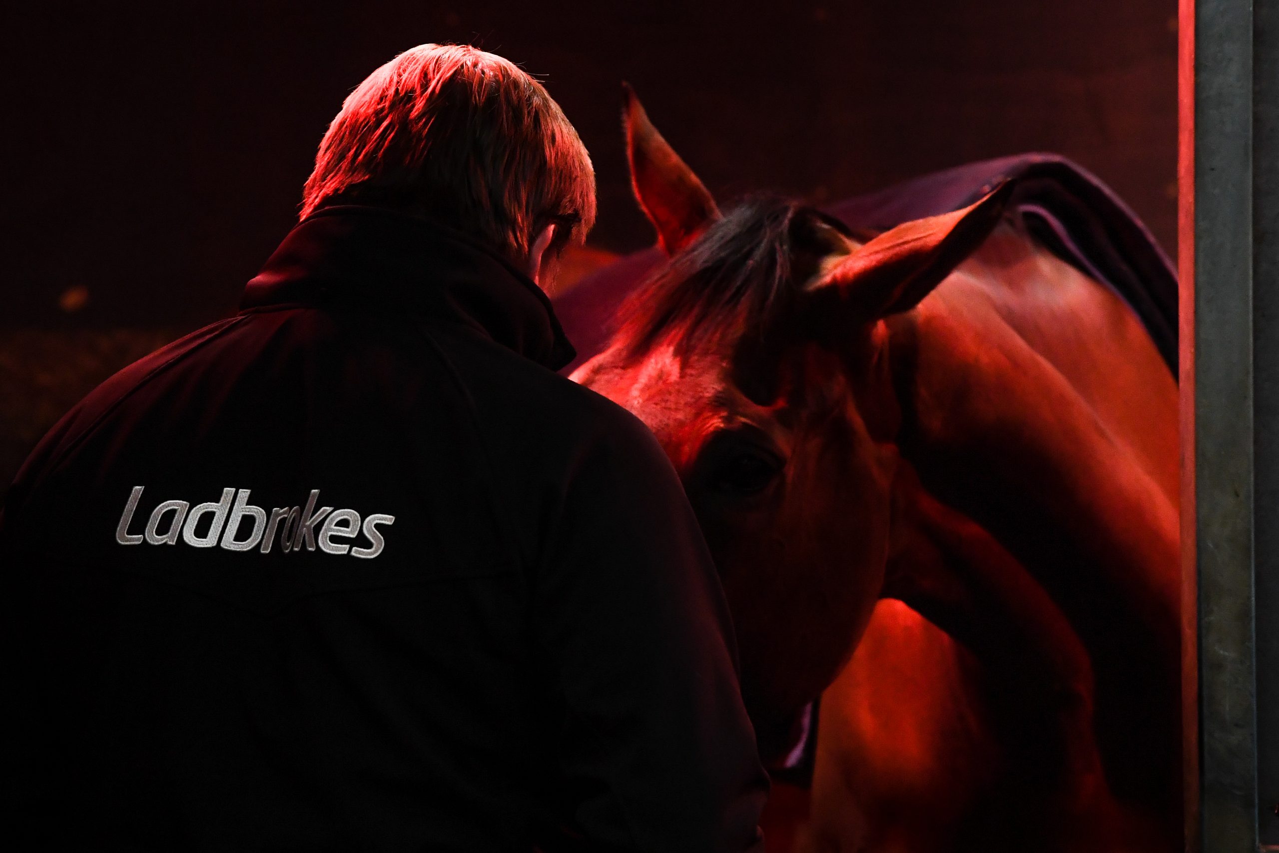 Cheltenham Festival Preview: behind the scenes with racehorse trainer Dan Skelton