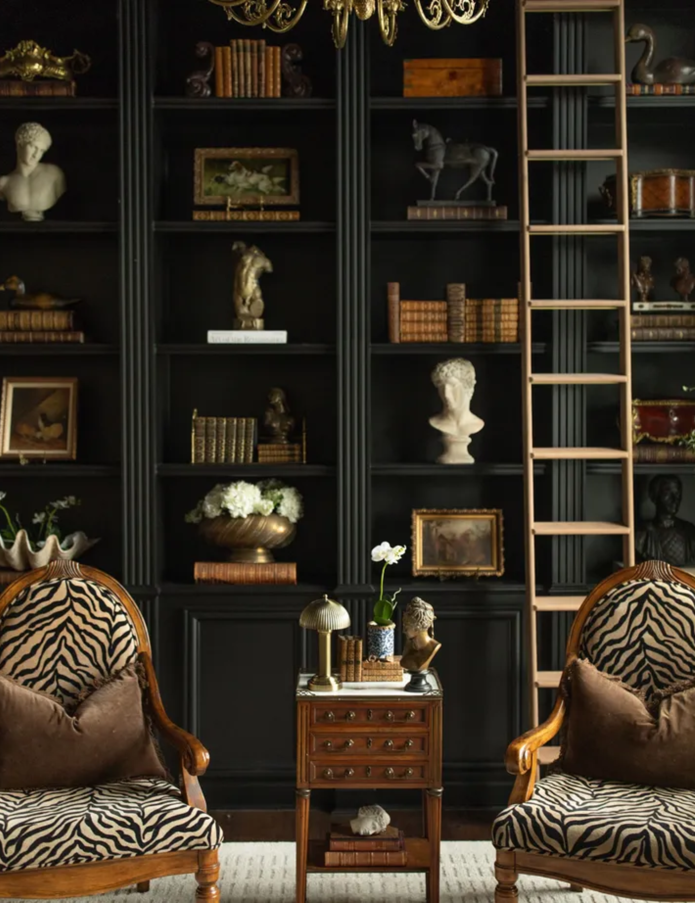 Library with black-painted bookcase, Zebra print armchairs, books and wooden ladder