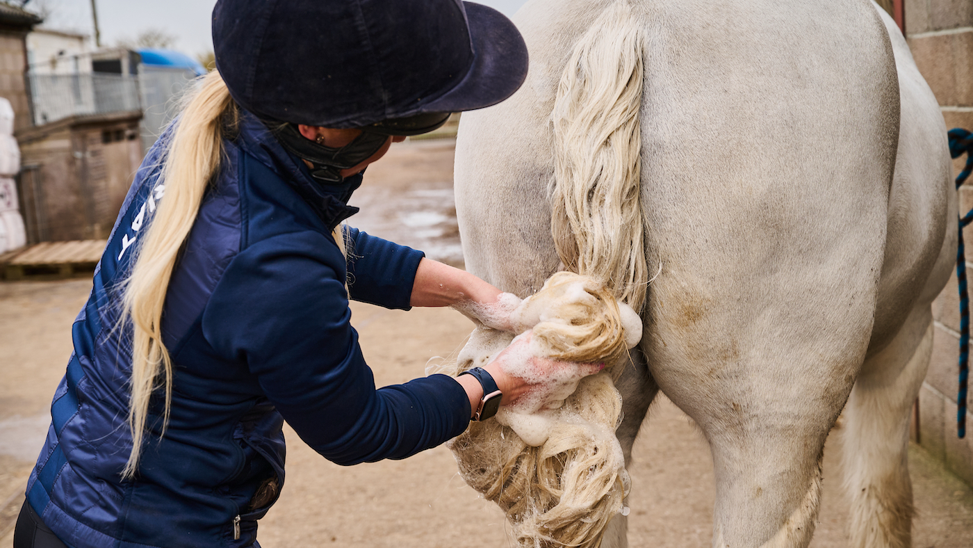 Washing a grey horse's tail: final countdown to show day